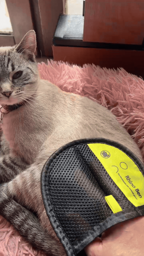 Le Gant Magique Anti-Poils : Fini les poils, pour la vie ! 🐾